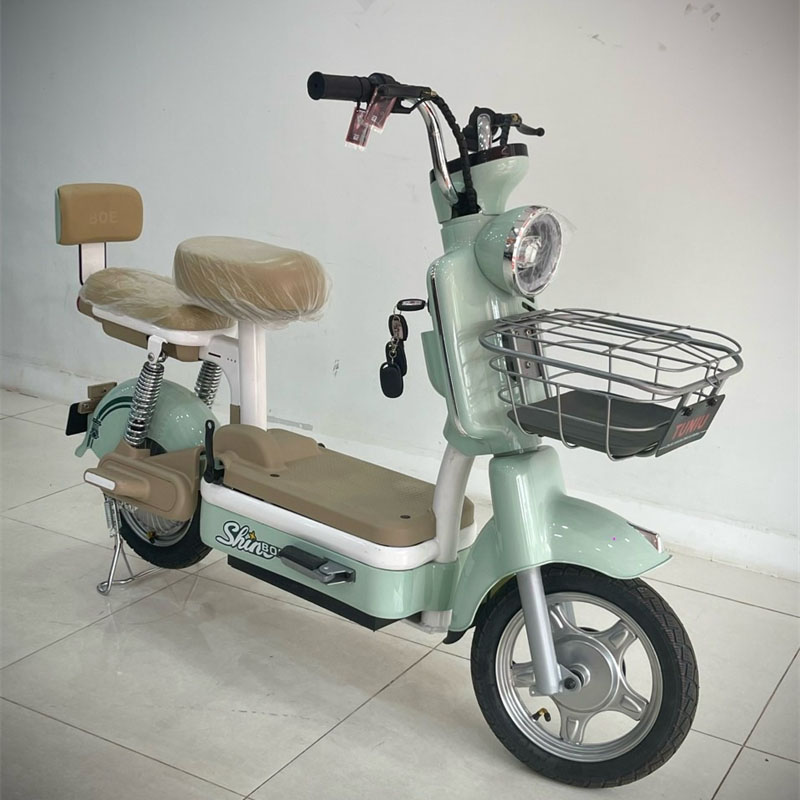 电动自行车 (12).jpg